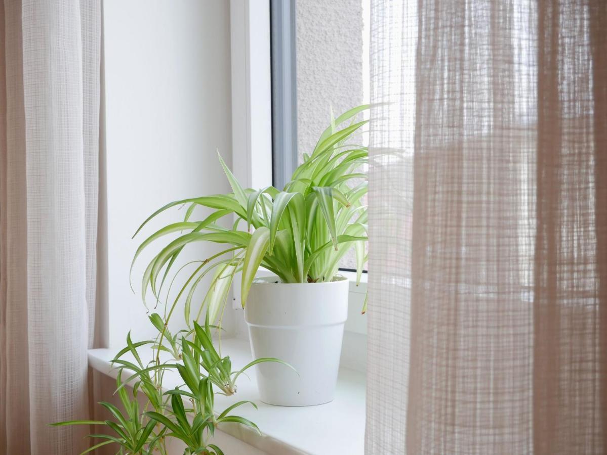 Ferienhaus Dorfleben 보츠부르크 외부 사진