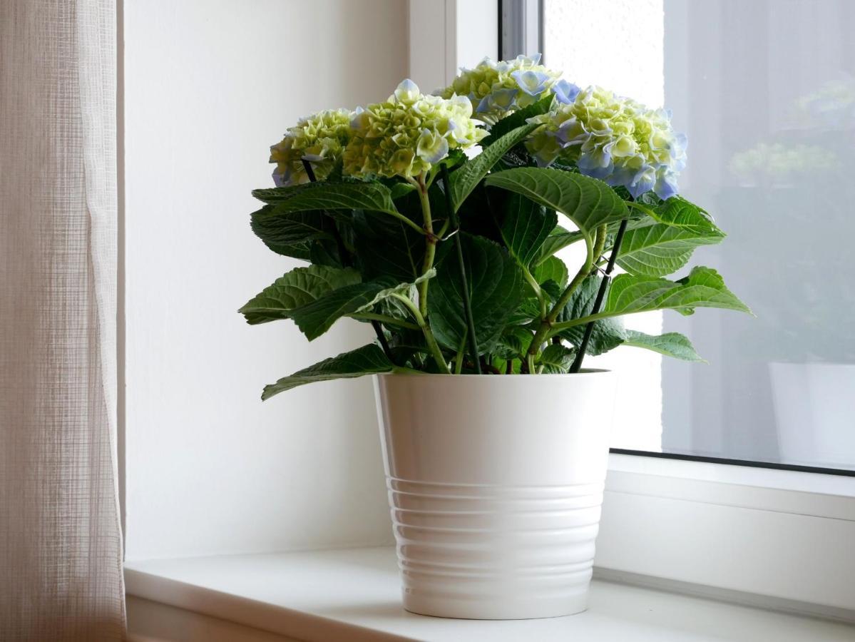 Ferienhaus Dorfleben 보츠부르크 외부 사진